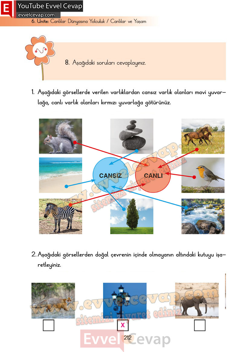 3-sinif-fen-bilimleri-ders-kitabi-cevaplari-cem-yayincilik-sayfa-212