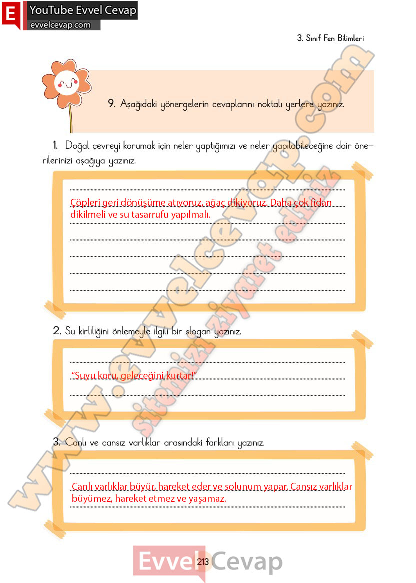 3-sinif-fen-bilimleri-ders-kitabi-cevaplari-cem-yayincilik-sayfa-213
