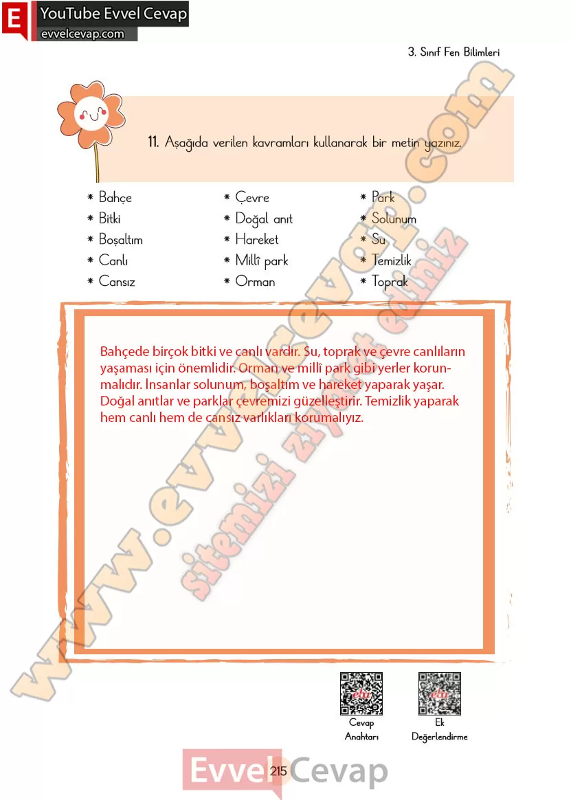 3-sinif-fen-bilimleri-ders-kitabi-cevaplari-cem-yayincilik-sayfa-215