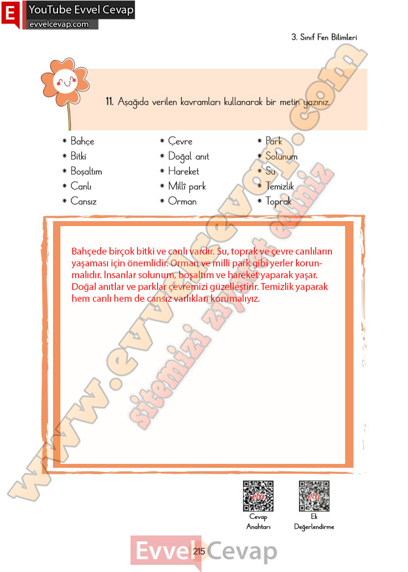 3-sinif-fen-bilimleri-ders-kitabi-cevaplari-cem-yayincilik-sayfa-215