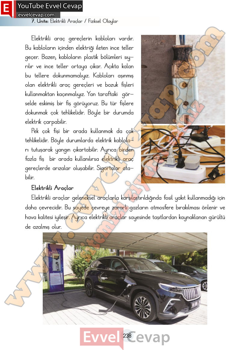 3-sinif-fen-bilimleri-ders-kitabi-cevaplari-cem-yayincilik-sayfa-238