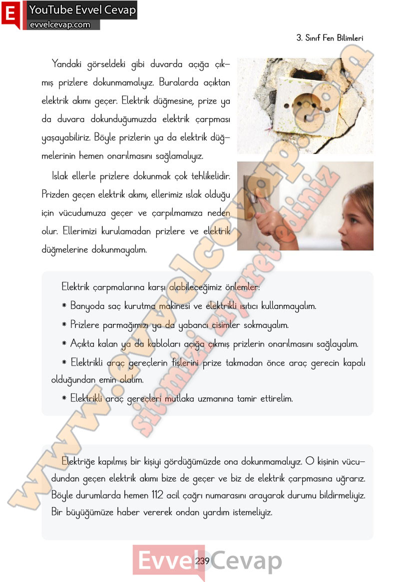 3-sinif-fen-bilimleri-ders-kitabi-cevaplari-cem-yayincilik-sayfa-239