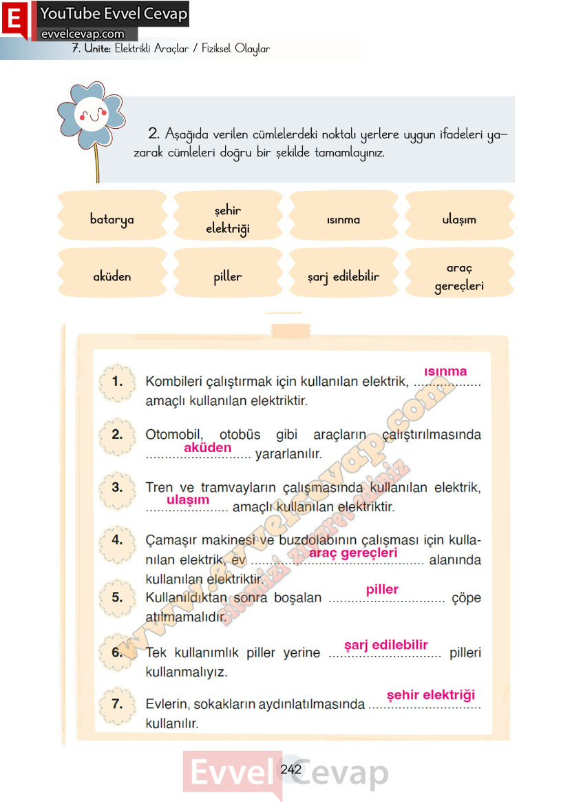 3-sinif-fen-bilimleri-ders-kitabi-cevaplari-cem-yayincilik-sayfa-242