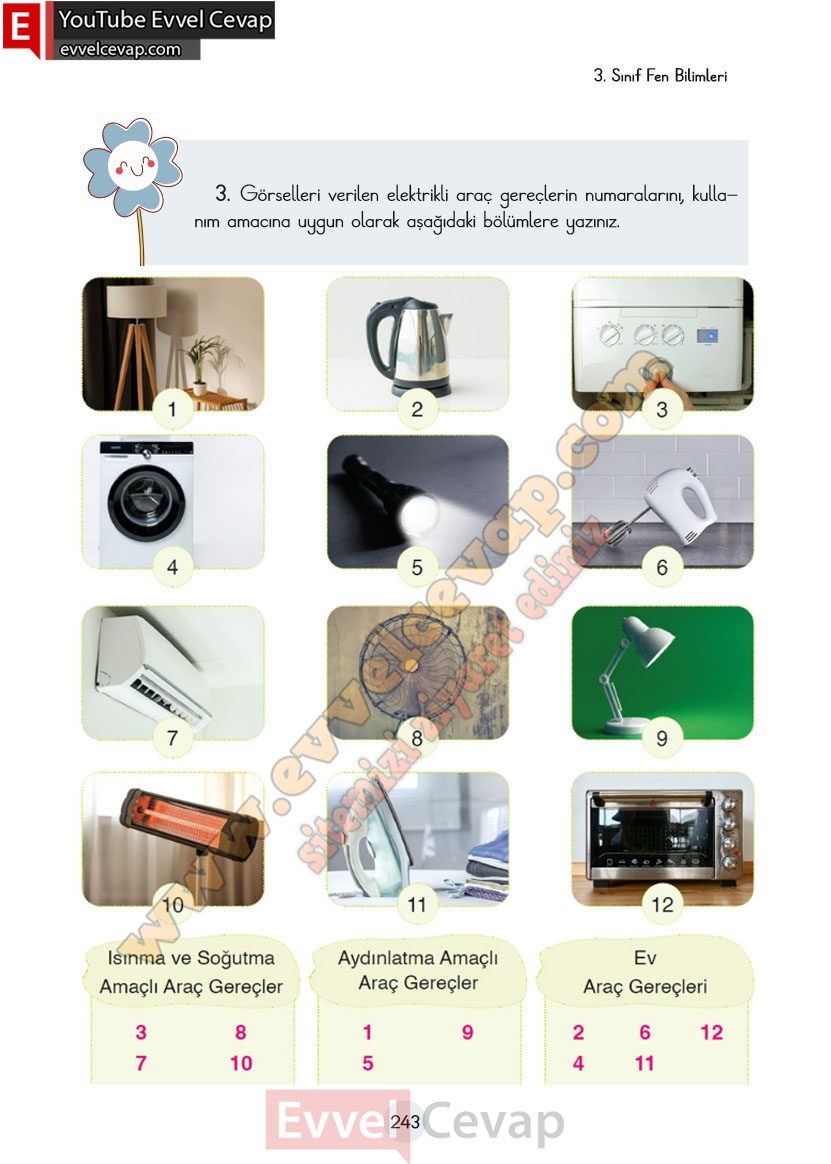 3-sinif-fen-bilimleri-ders-kitabi-cevaplari-cem-yayincilik-sayfa-243