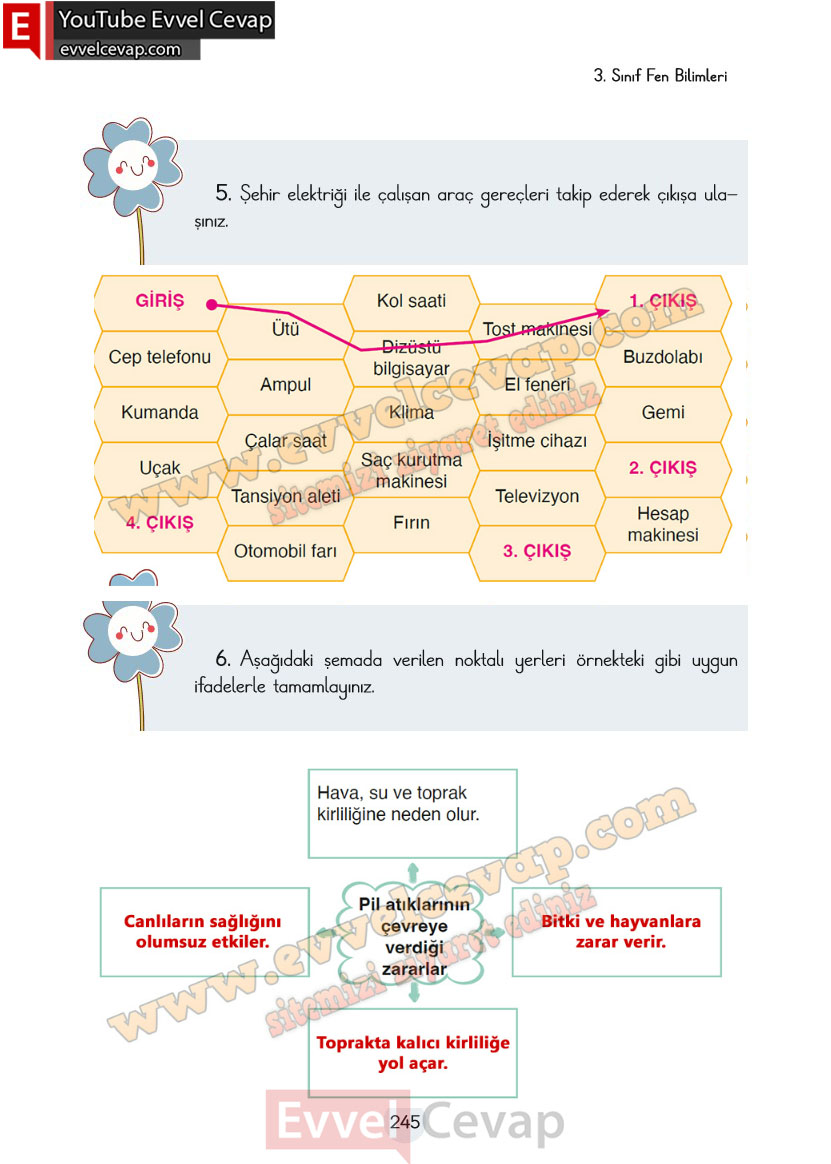 3-sinif-fen-bilimleri-ders-kitabi-cevaplari-cem-yayincilik-sayfa-245
