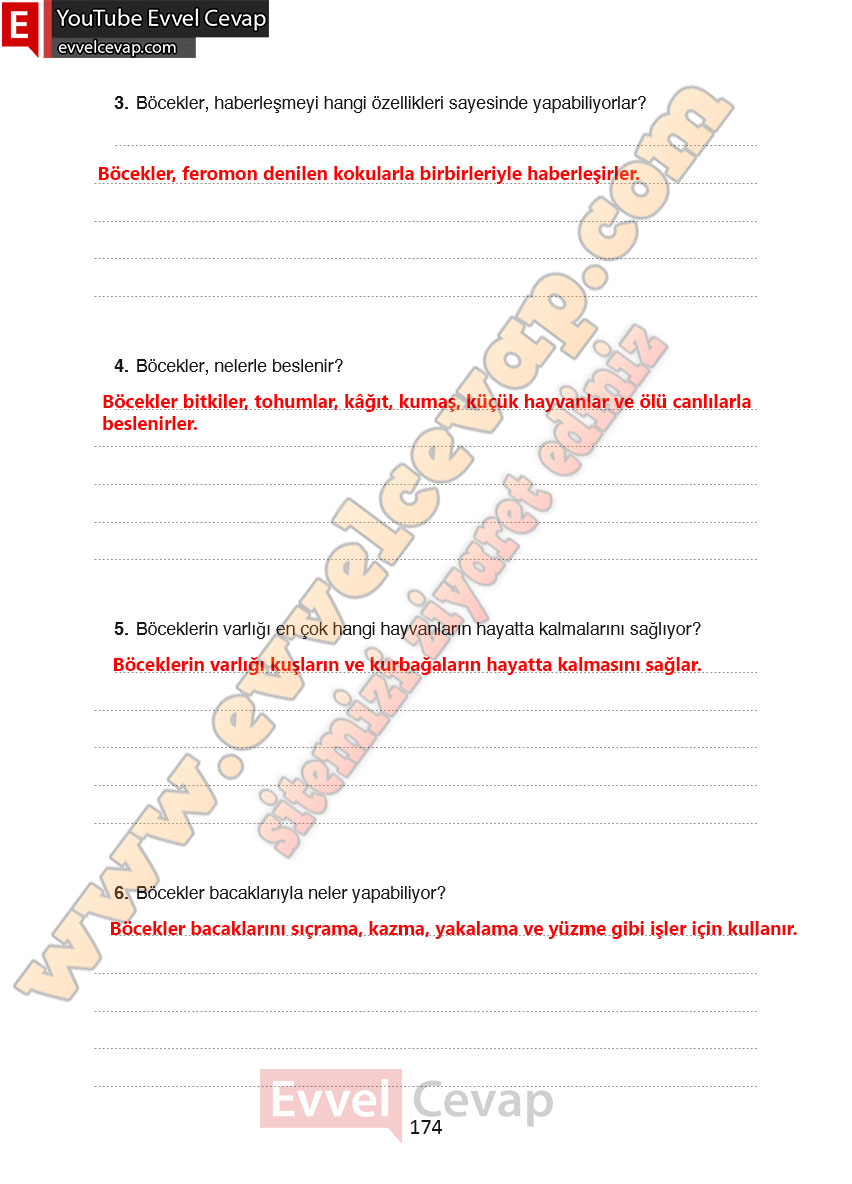 4-sinif-turkce-ders-kitabi-cevaplari-ada-yayincilik-sayfa-174