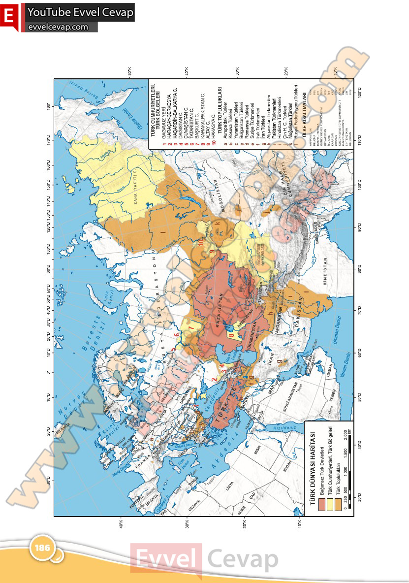 6-sinif-ingilizce-ders-kitabi-cevabi-ozgun-yayinlari-sayfa-186