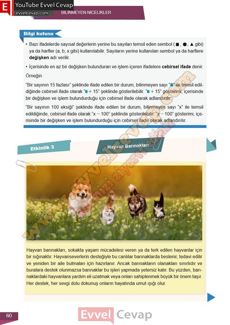 6-sinif-matematik-ders-kitabi-cevabi-meb-yayinlari-2-kitap-sayfa-60