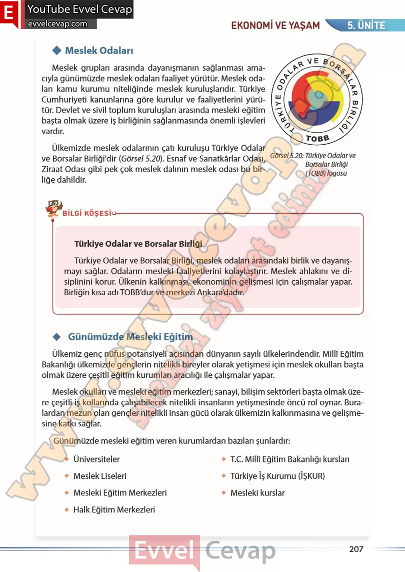 7-sinif-sosyal-bilgiler-kitabi-cevabi-meb-yayinlari-sayfa-207