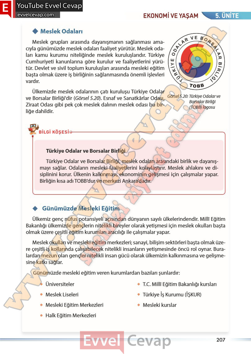 7-sinif-sosyal-bilgiler-kitabi-cevabi-meb-yayinlari-sayfa-207