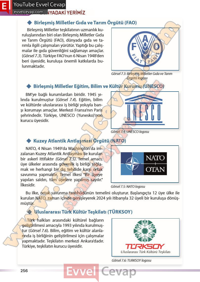 7-sinif-sosyal-bilgiler-kitabi-cevabi-meb-yayinlari-sayfa-256
