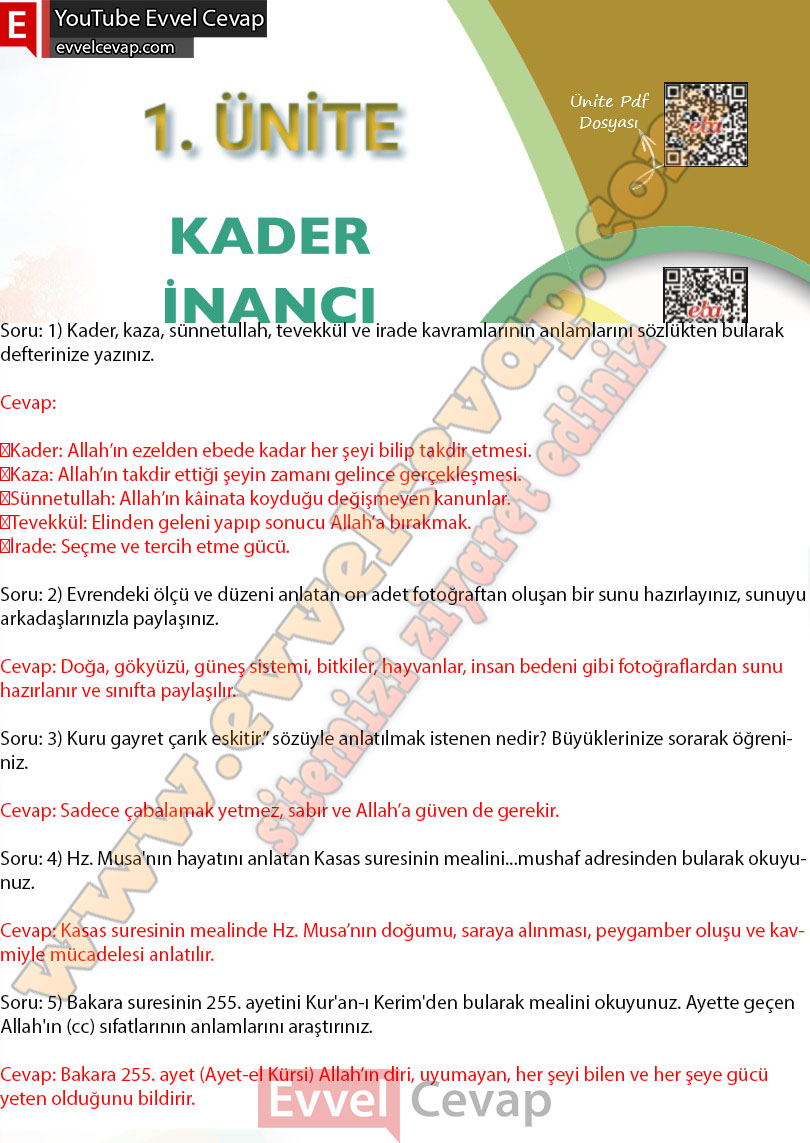8-sinif-din-kulturu-ders-kitabi-cevaplari-meb-yayinlari-2025-2026-sayfa-11