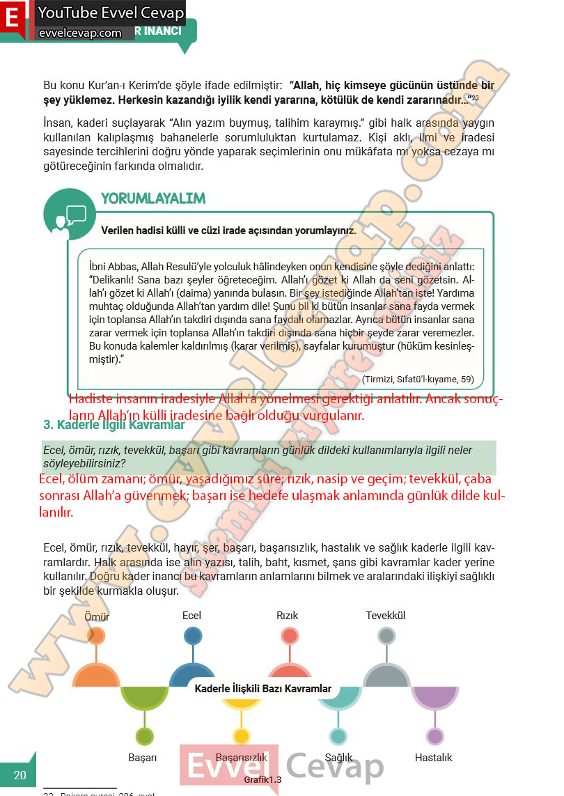 8-sinif-din-kulturu-ders-kitabi-cevaplari-meb-yayinlari-2025-2026-sayfa-20