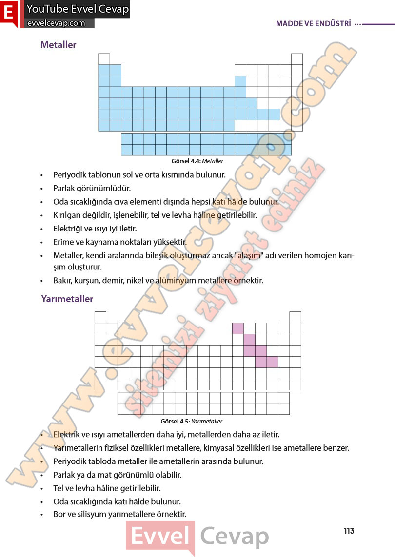 8-sinif-fen-bilimleri-ders-kitabi-cevabi-meb-yayinlari-sayfa-113