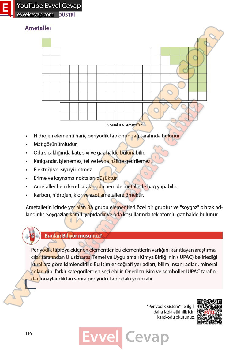 8-sinif-fen-bilimleri-ders-kitabi-cevabi-meb-yayinlari-sayfa-114