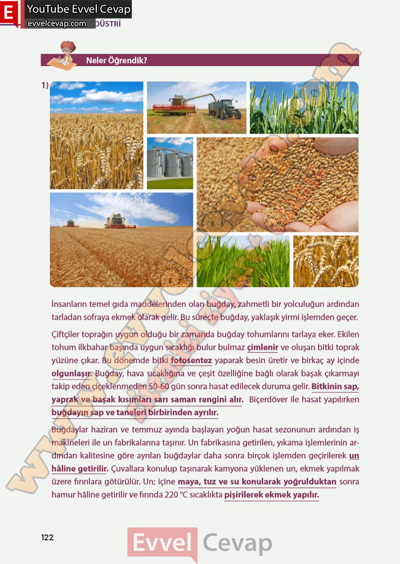 8-sinif-fen-bilimleri-ders-kitabi-cevabi-meb-yayinlari-sayfa-122
