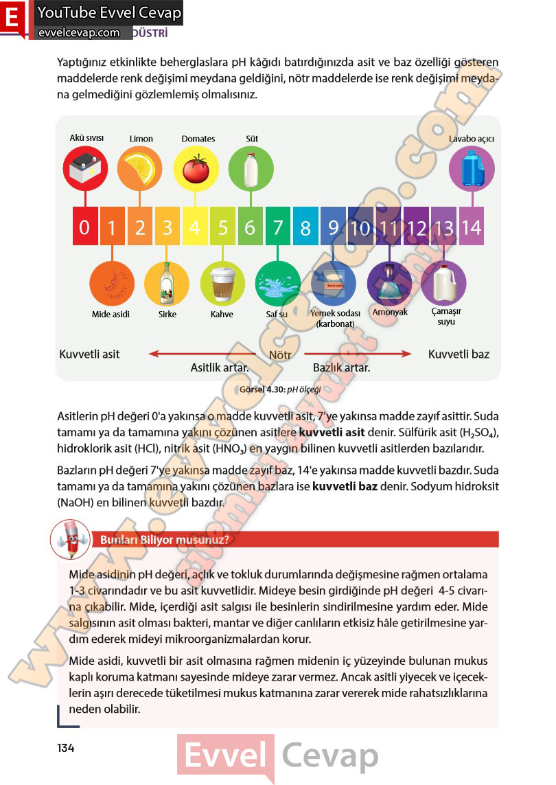 8-sinif-fen-bilimleri-ders-kitabi-cevabi-meb-yayinlari-sayfa-134