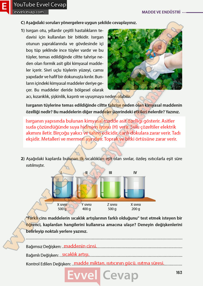 8-sinif-fen-bilimleri-ders-kitabi-cevabi-meb-yayinlari-sayfa-163