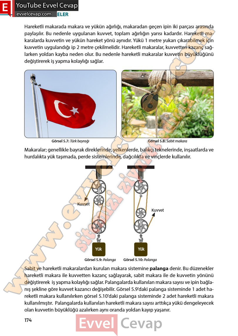 8-sinif-fen-bilimleri-ders-kitabi-cevabi-meb-yayinlari-sayfa-174