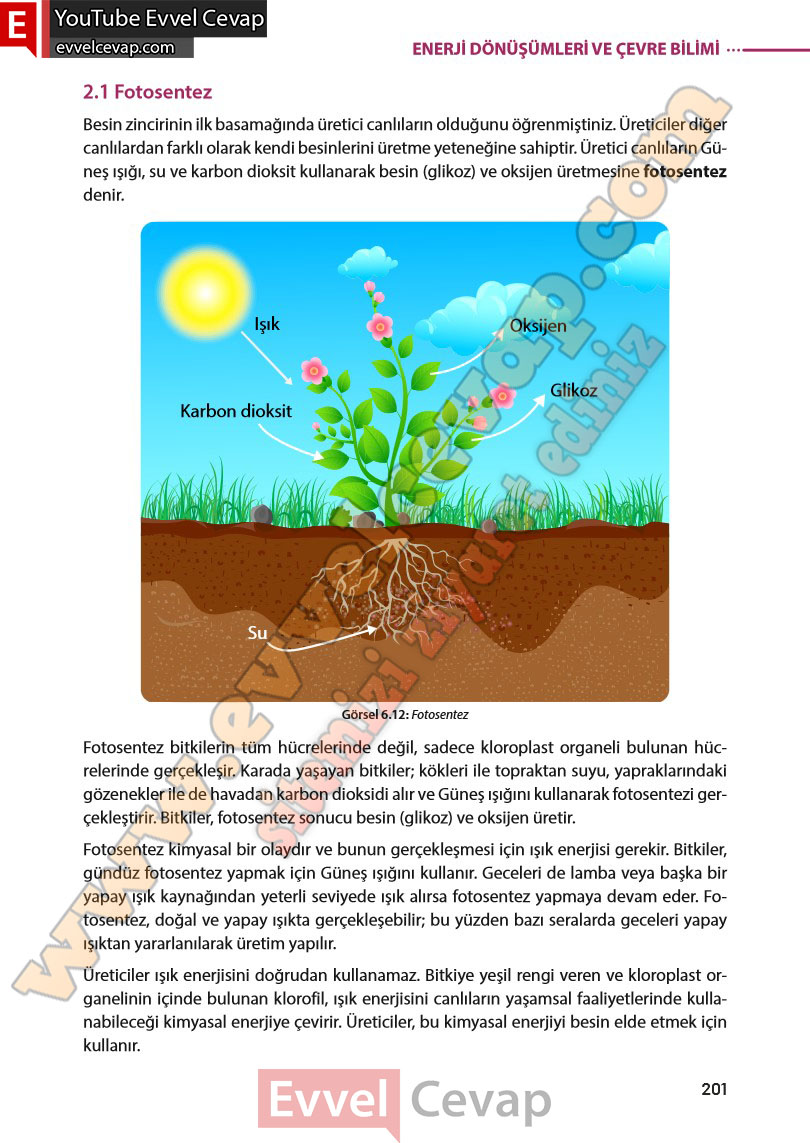 8-sinif-fen-bilimleri-ders-kitabi-cevabi-meb-yayinlari-sayfa-201