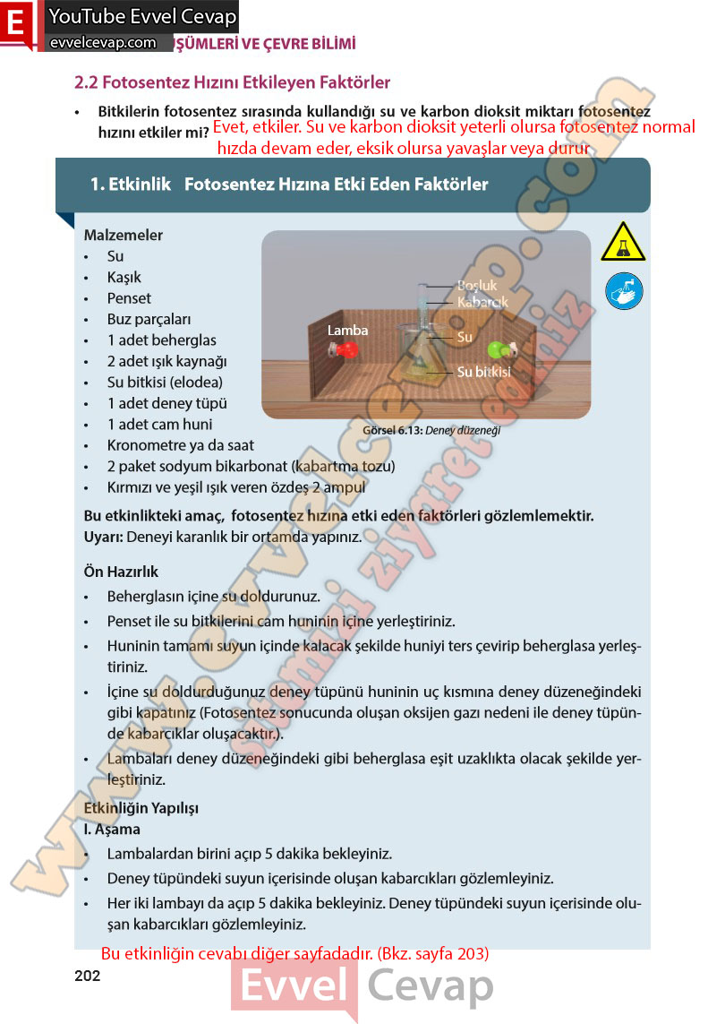8-sinif-fen-bilimleri-ders-kitabi-cevabi-meb-yayinlari-sayfa-202