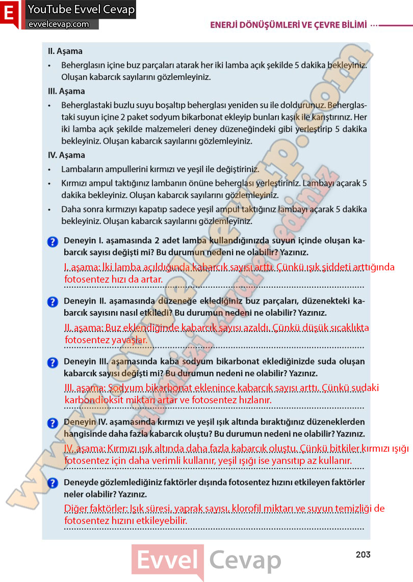 8-sinif-fen-bilimleri-ders-kitabi-cevabi-meb-yayinlari-sayfa-203