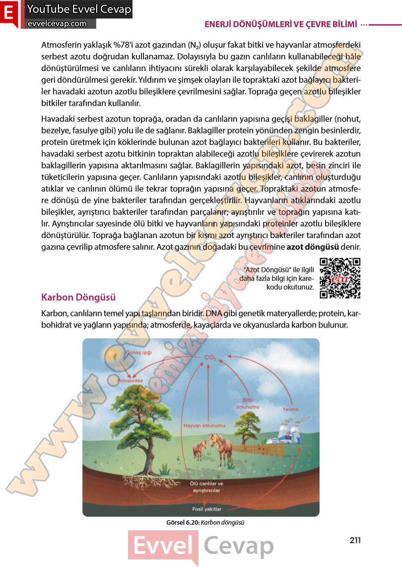 8-sinif-fen-bilimleri-ders-kitabi-cevabi-meb-yayinlari-sayfa-211