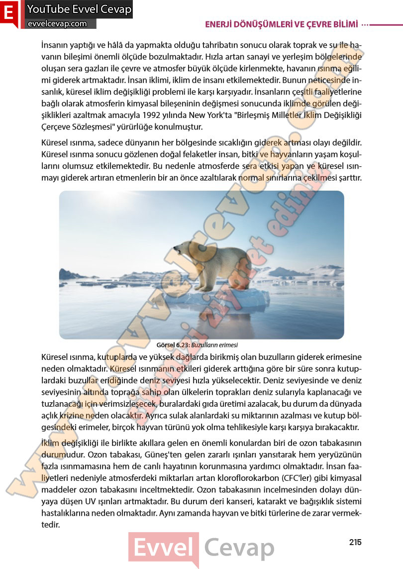 8-sinif-fen-bilimleri-ders-kitabi-cevabi-meb-yayinlari-sayfa-215