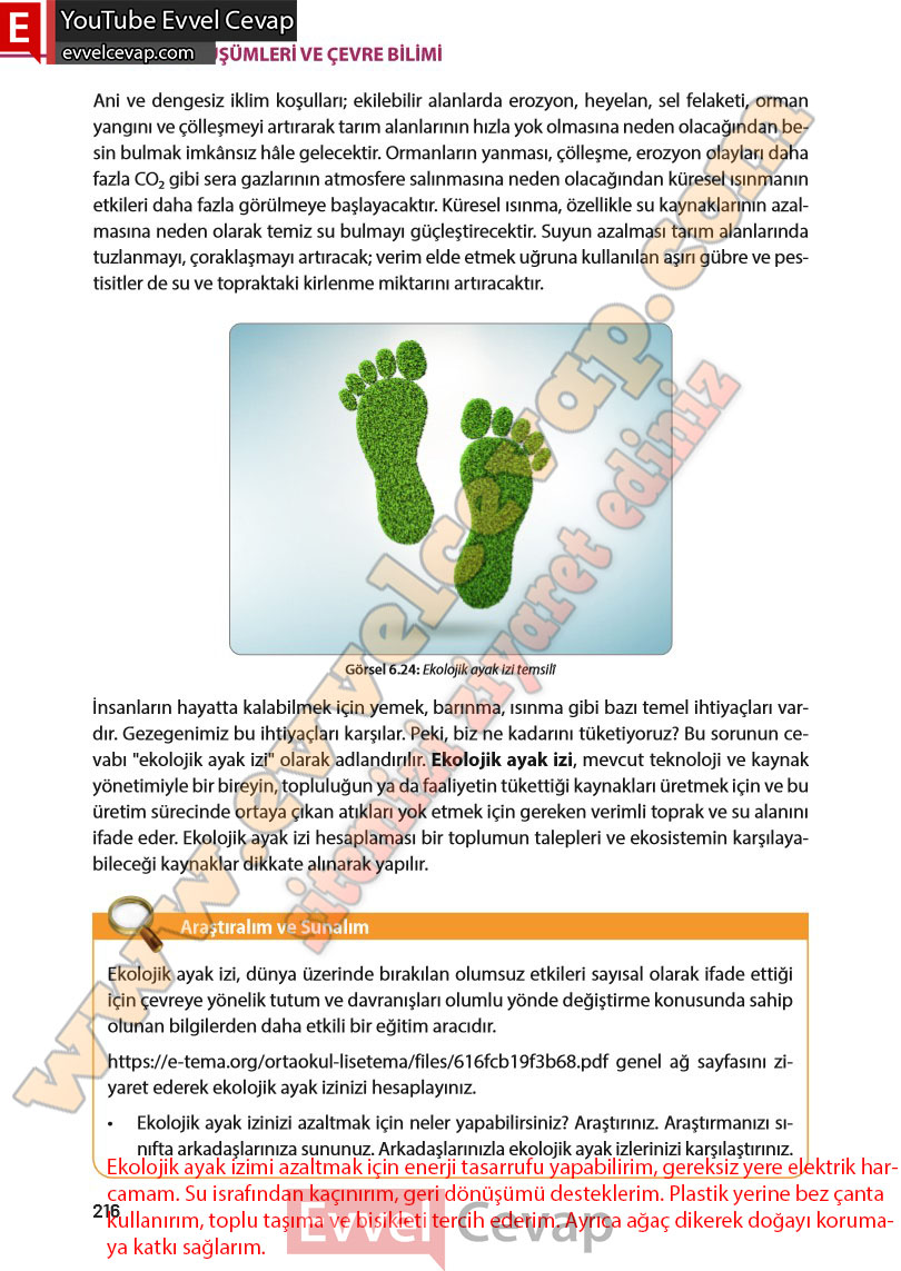 8-sinif-fen-bilimleri-ders-kitabi-cevabi-meb-yayinlari-sayfa-216