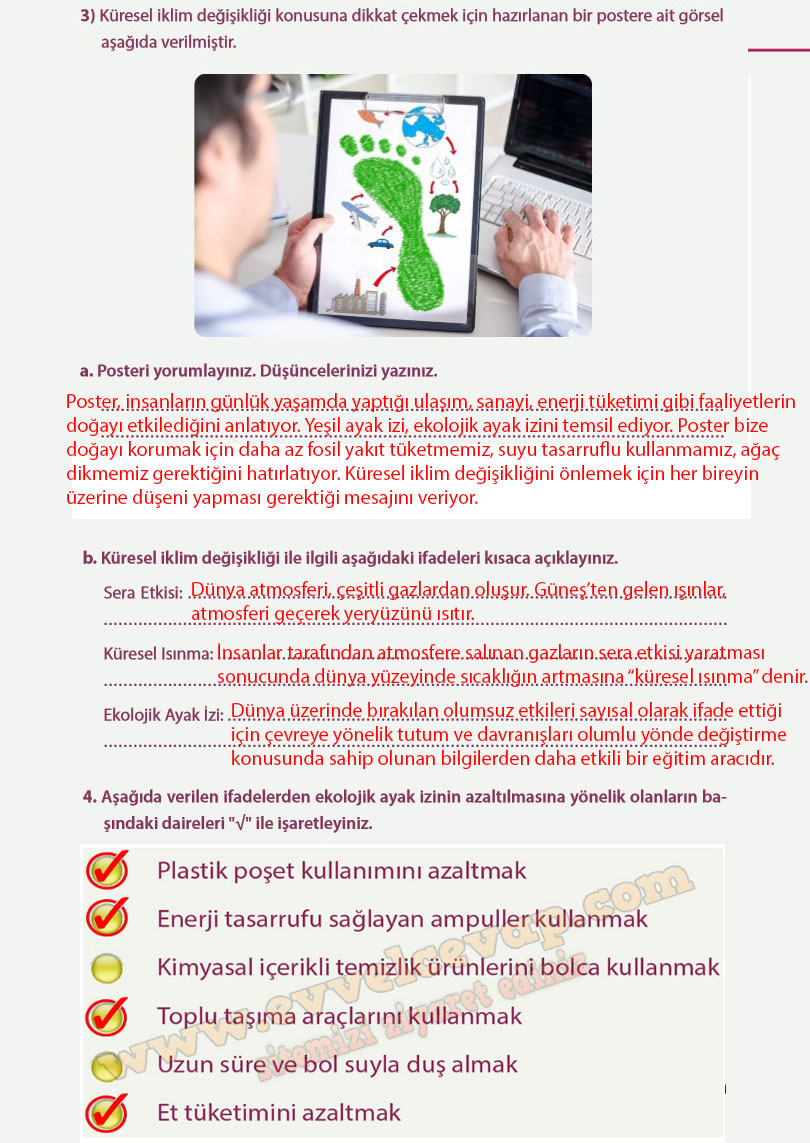 8-sinif-fen-bilimleri-ders-kitabi-cevabi-meb-yayinlari-sayfa-219
