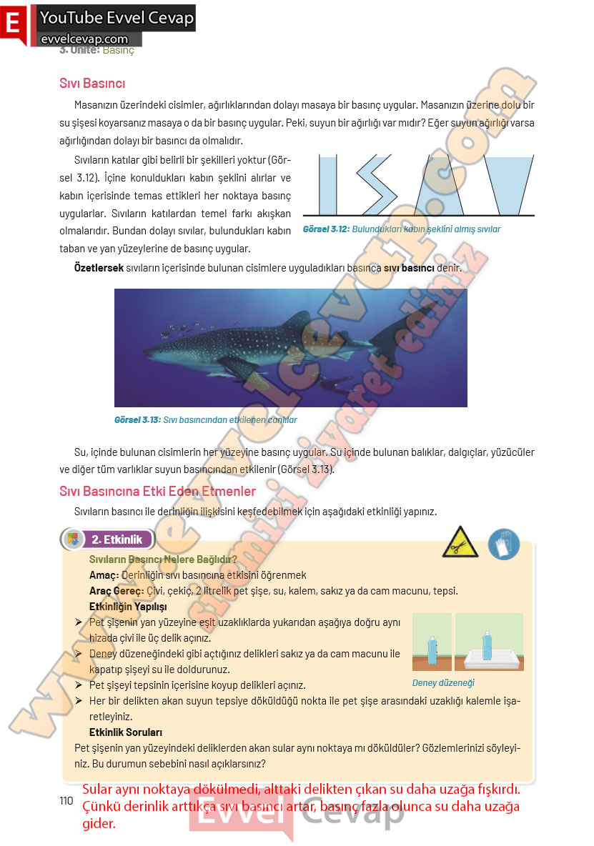 8-sinif-fen-bilimleri-ders-kitabi-cevaplari-hecce-yayincilik-sayfa-110