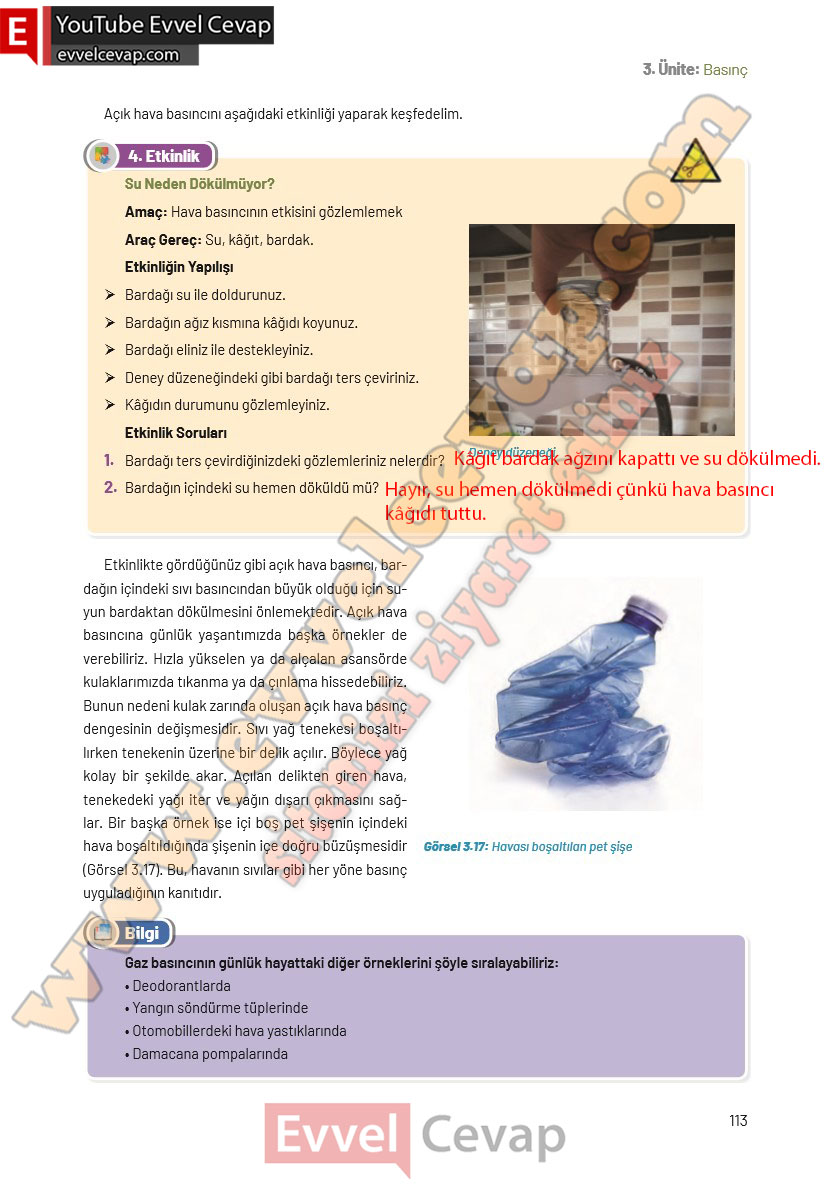 8-sinif-fen-bilimleri-ders-kitabi-cevaplari-hecce-yayincilik-sayfa-113