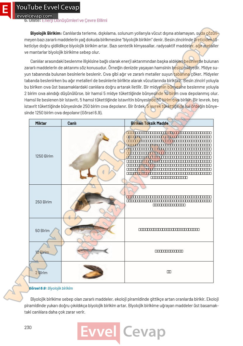 8-sinif-fen-bilimleri-ders-kitabi-cevaplari-hecce-yayincilik-sayfa-230