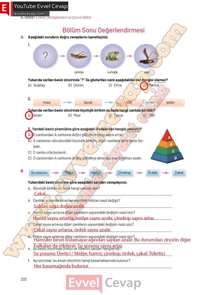 8-sinif-fen-bilimleri-ders-kitabi-cevaplari-hecce-yayincilik-sayfa-232