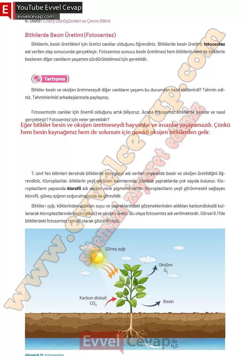8-sinif-fen-bilimleri-ders-kitabi-cevaplari-hecce-yayincilik-sayfa-234