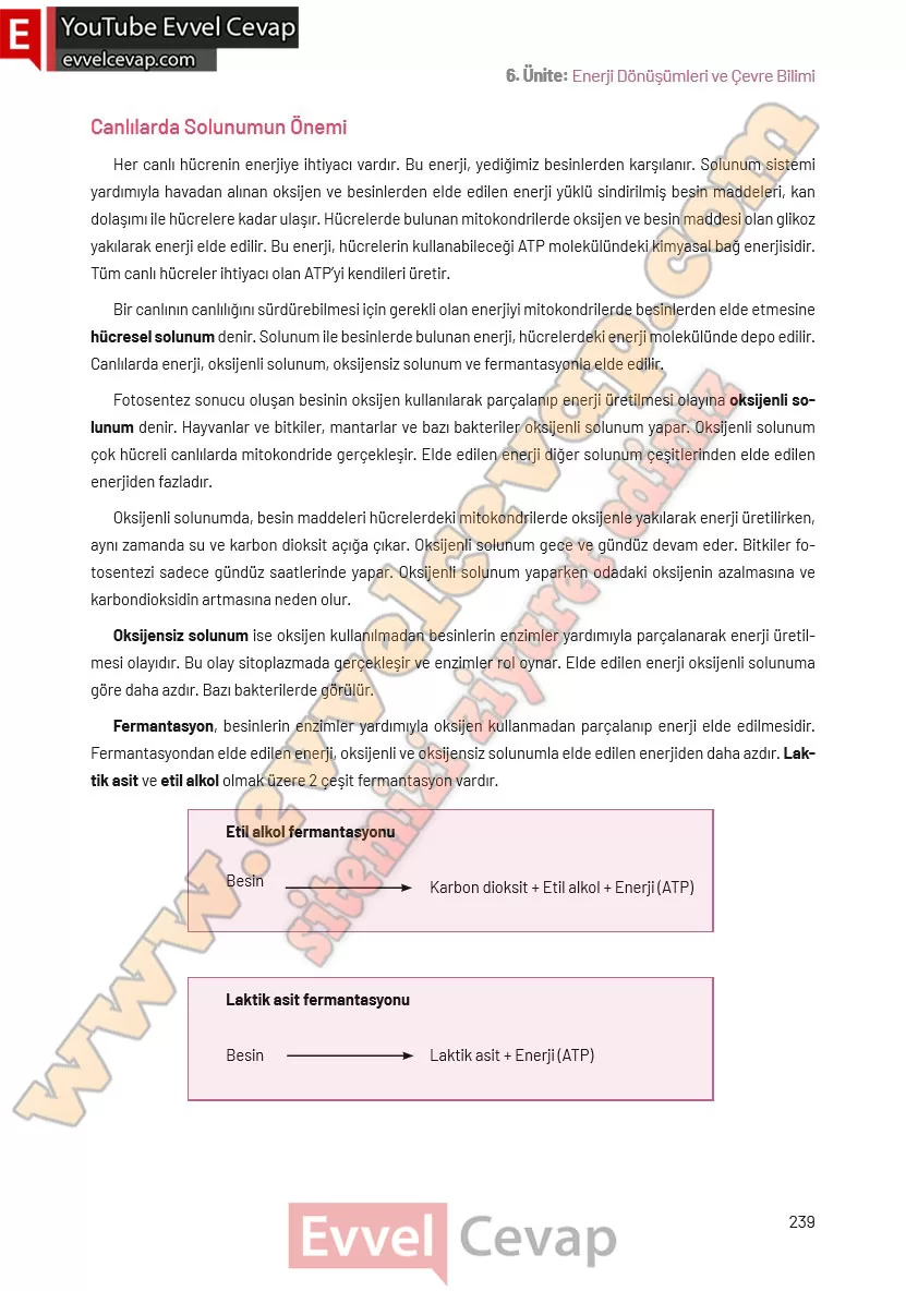 8-sinif-fen-bilimleri-ders-kitabi-cevaplari-hecce-yayincilik-sayfa-239