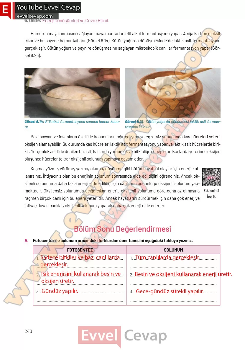 8-sinif-fen-bilimleri-ders-kitabi-cevaplari-hecce-yayincilik-sayfa-240