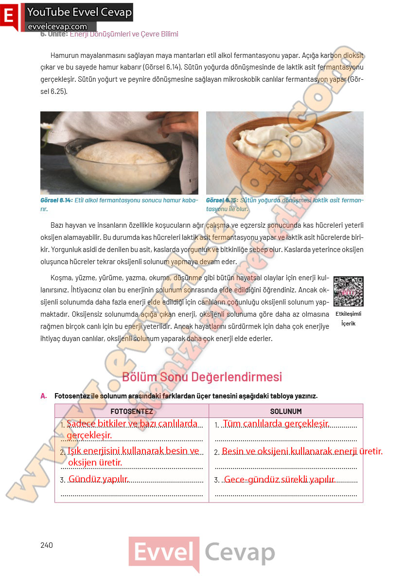 8-sinif-fen-bilimleri-ders-kitabi-cevaplari-hecce-yayincilik-sayfa-240