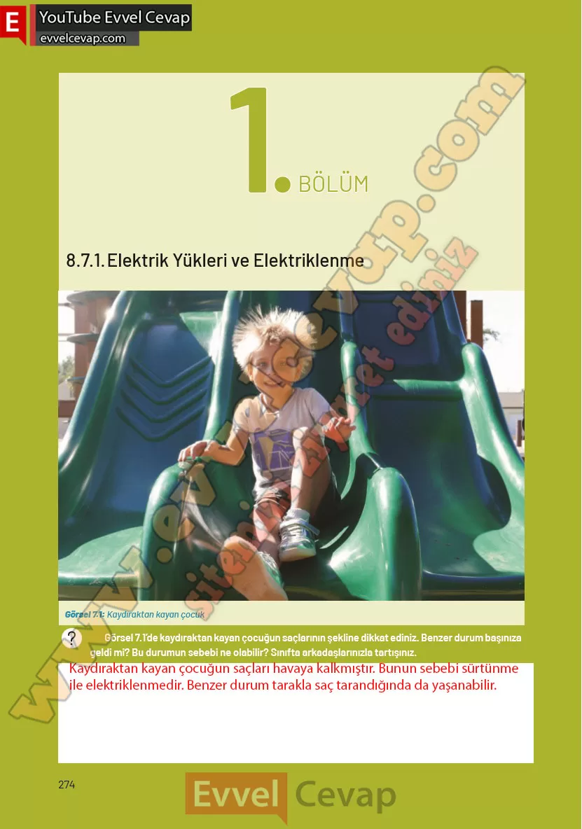 8-sinif-fen-bilimleri-ders-kitabi-cevaplari-hecce-yayincilik-sayfa-274