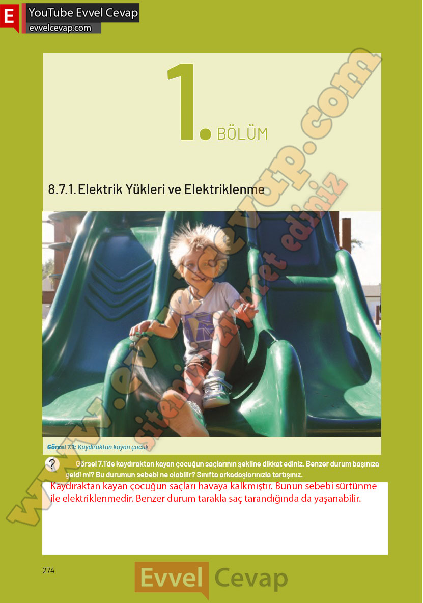 8-sinif-fen-bilimleri-ders-kitabi-cevaplari-hecce-yayincilik-sayfa-274