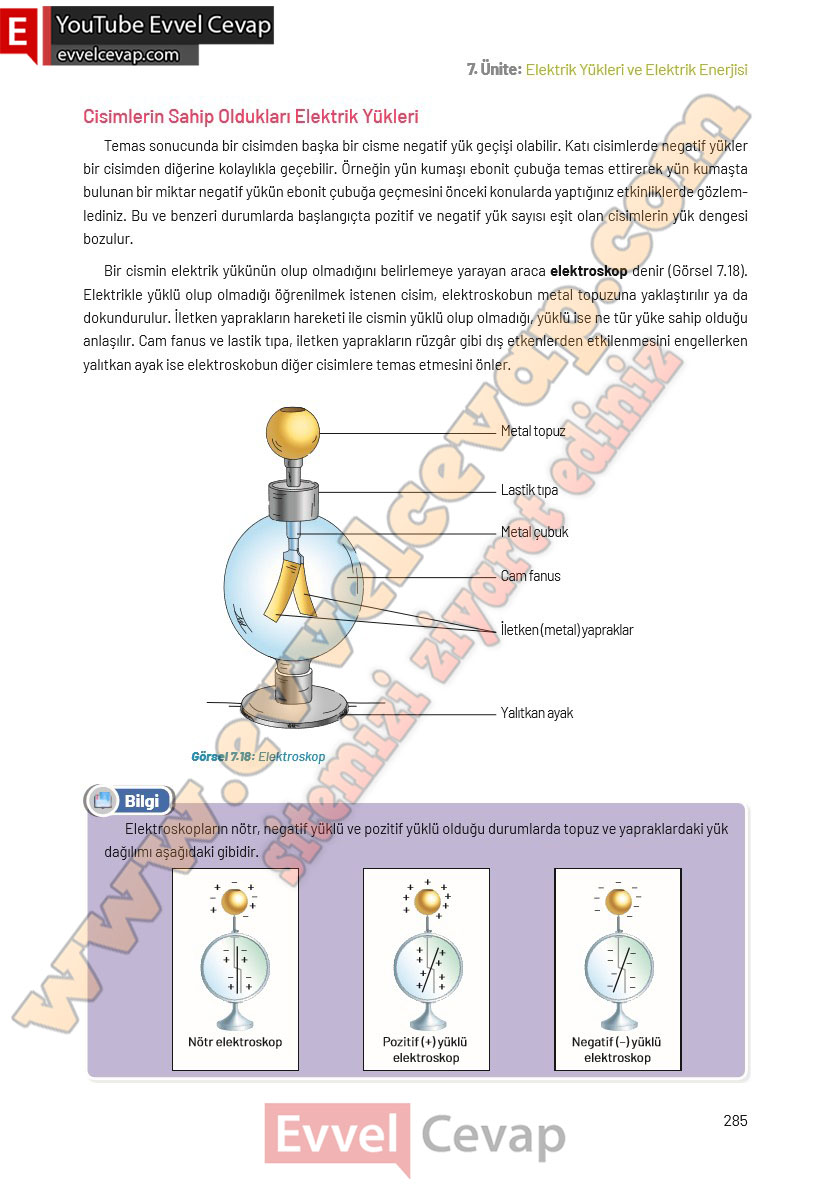 8-sinif-fen-bilimleri-ders-kitabi-cevaplari-hecce-yayincilik-sayfa-285