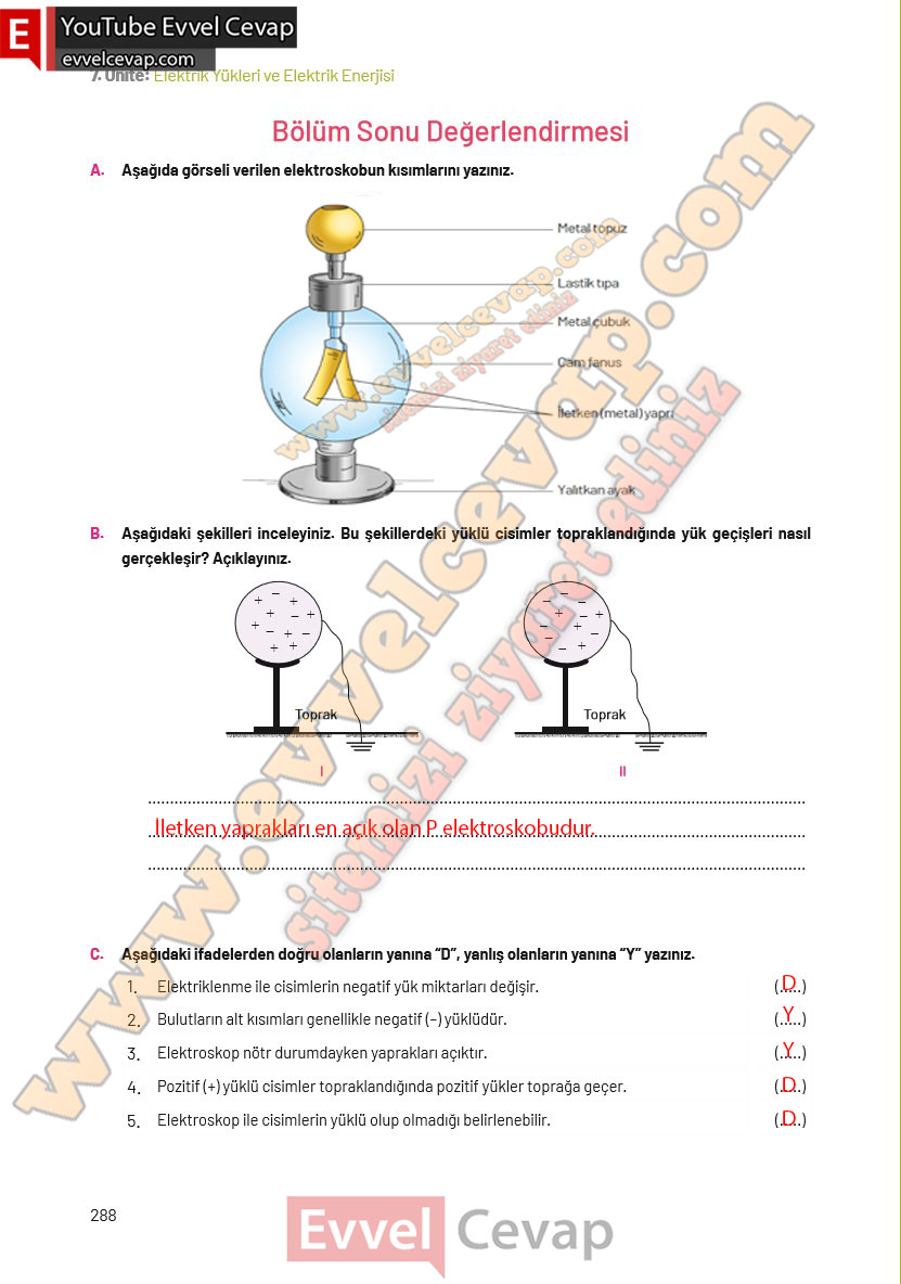 8-sinif-fen-bilimleri-ders-kitabi-cevaplari-hecce-yayincilik-sayfa-288