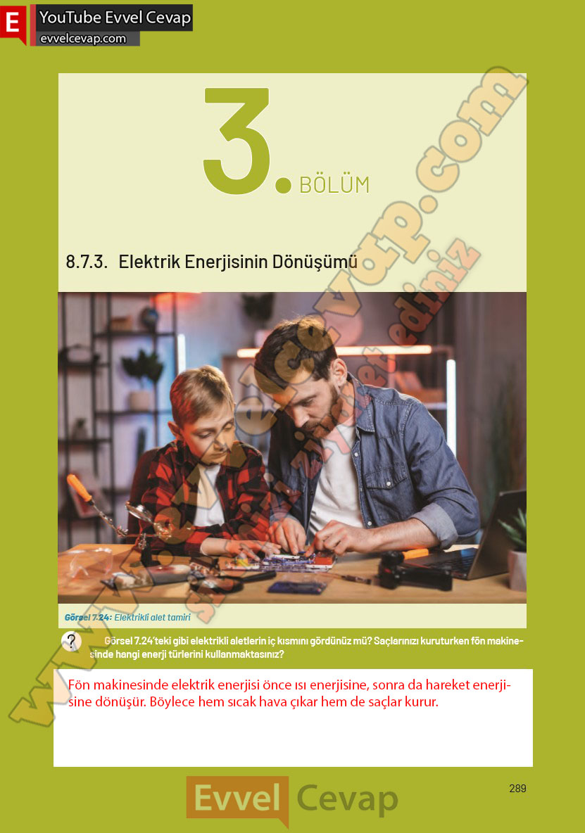 8-sinif-fen-bilimleri-ders-kitabi-cevaplari-hecce-yayincilik-sayfa-289