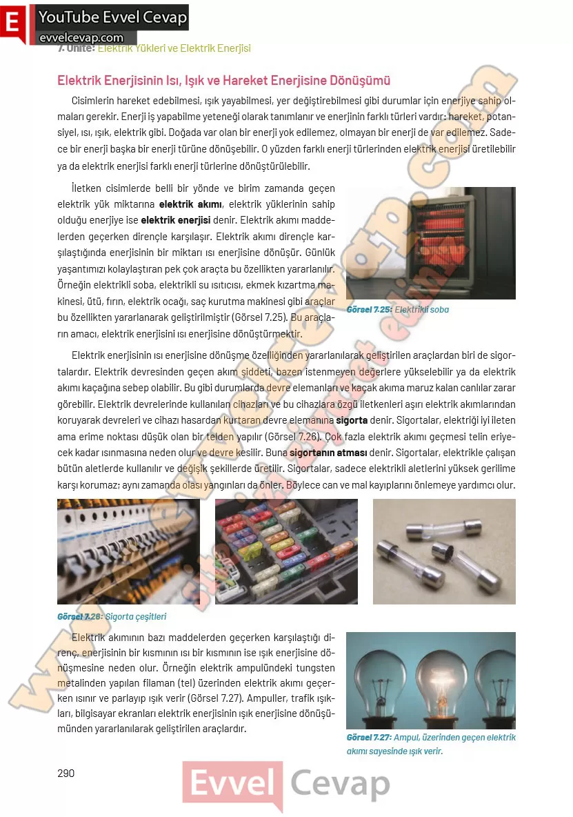 8-sinif-fen-bilimleri-ders-kitabi-cevaplari-hecce-yayincilik-sayfa-290