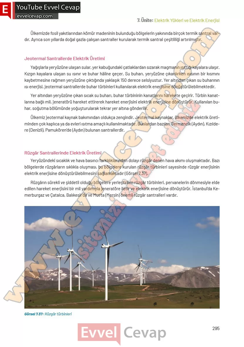 8-sinif-fen-bilimleri-ders-kitabi-cevaplari-hecce-yayincilik-sayfa-295