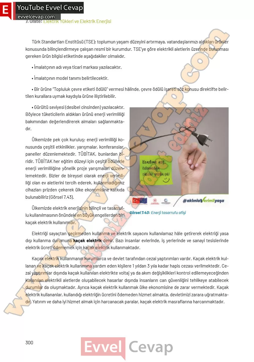 8-sinif-fen-bilimleri-ders-kitabi-cevaplari-hecce-yayincilik-sayfa-300