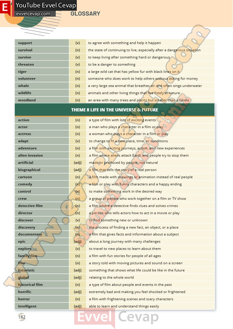 9-sinif-ingilizce-waymark-b1-1-ders-kitabi-cevabi-meb-yayinlari-sayfa-182