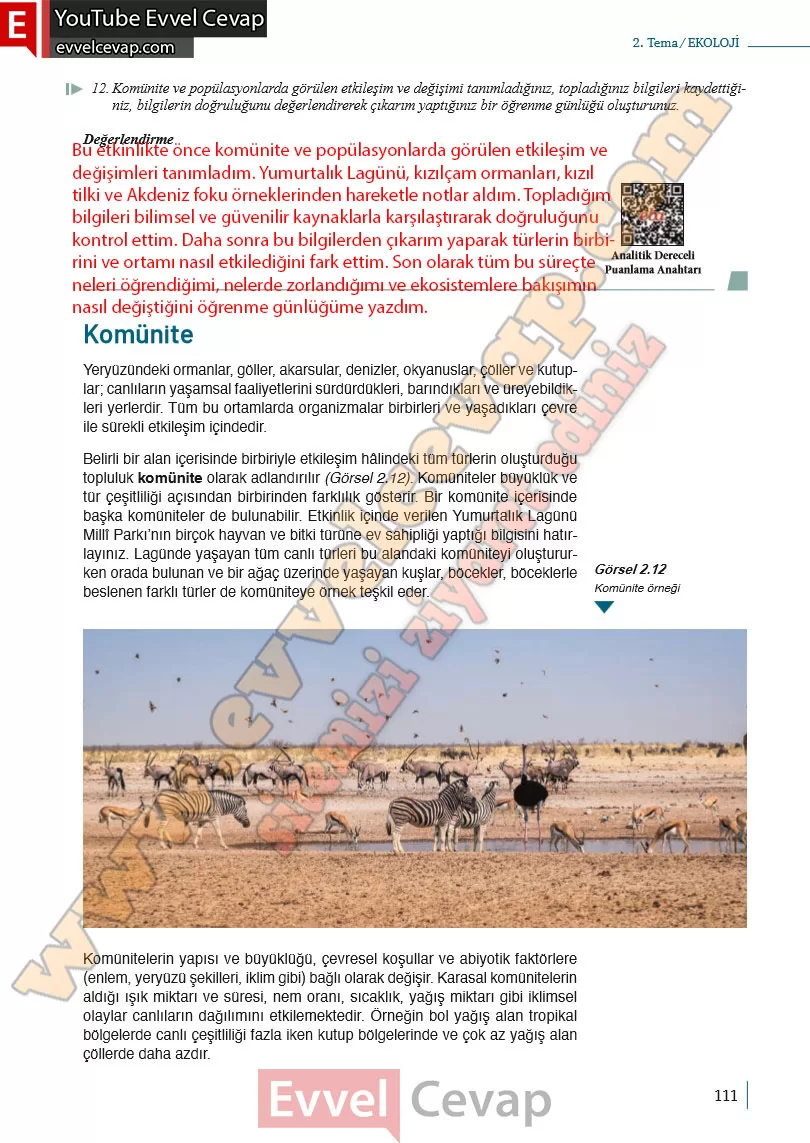 10-sinif-biyoloji-ders-kitabi-cevaplari-meb-yayinlari-2025-2026-sayfa-111