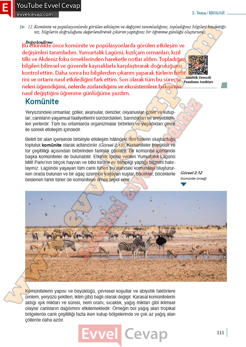 10-sinif-biyoloji-ders-kitabi-cevaplari-meb-yayinlari-2025-2026-sayfa-111