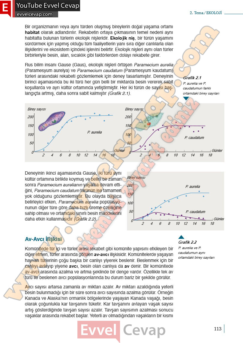 10-sinif-biyoloji-ders-kitabi-cevaplari-meb-yayinlari-2025-2026-sayfa-113